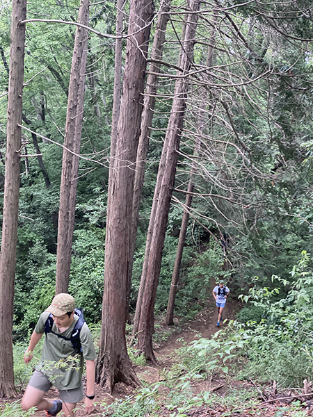 登山道