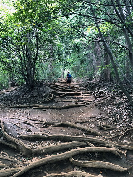 稲荷山コース