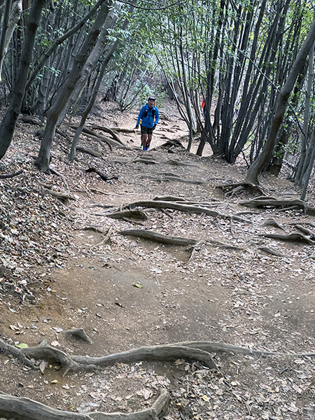 稲荷山コース