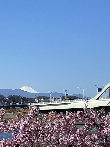 富士山