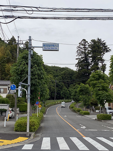 城山湖