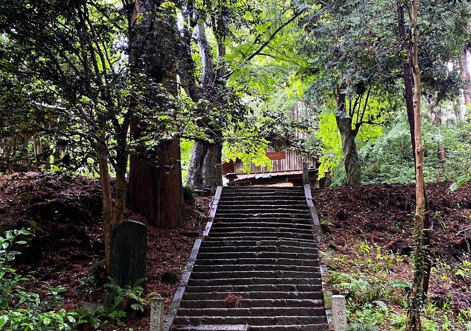 八王子城跡から多摩川ラン