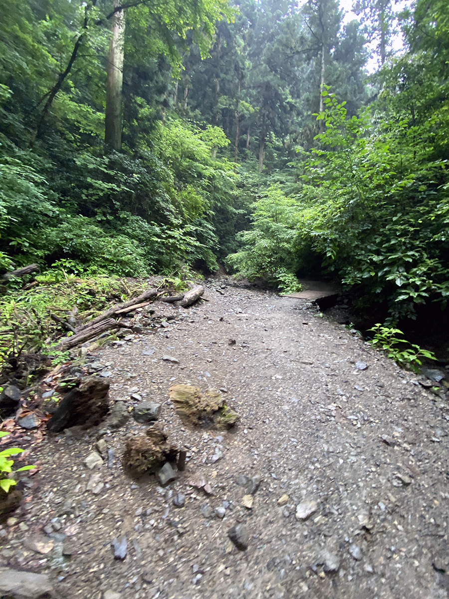 高尾山