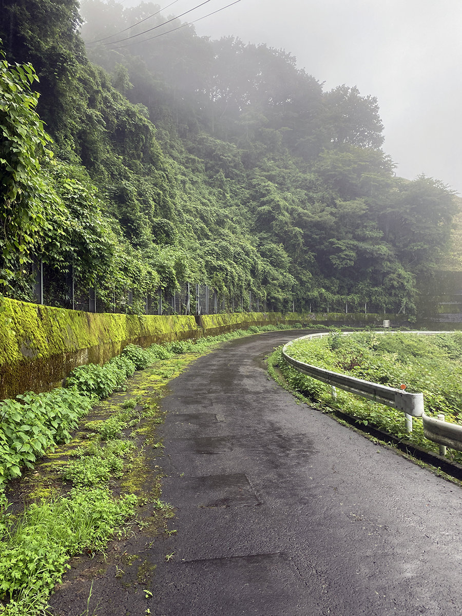 城山湖