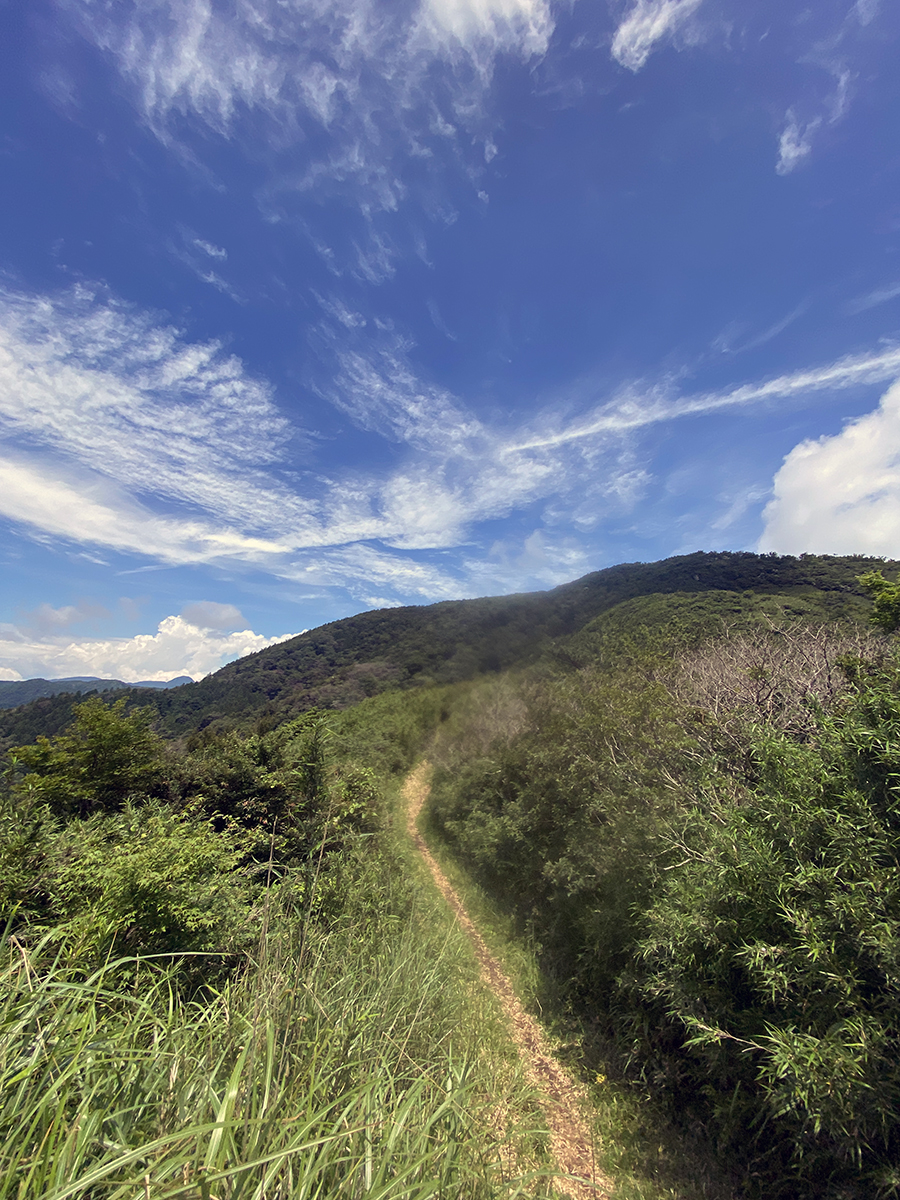 明星ヶ岳