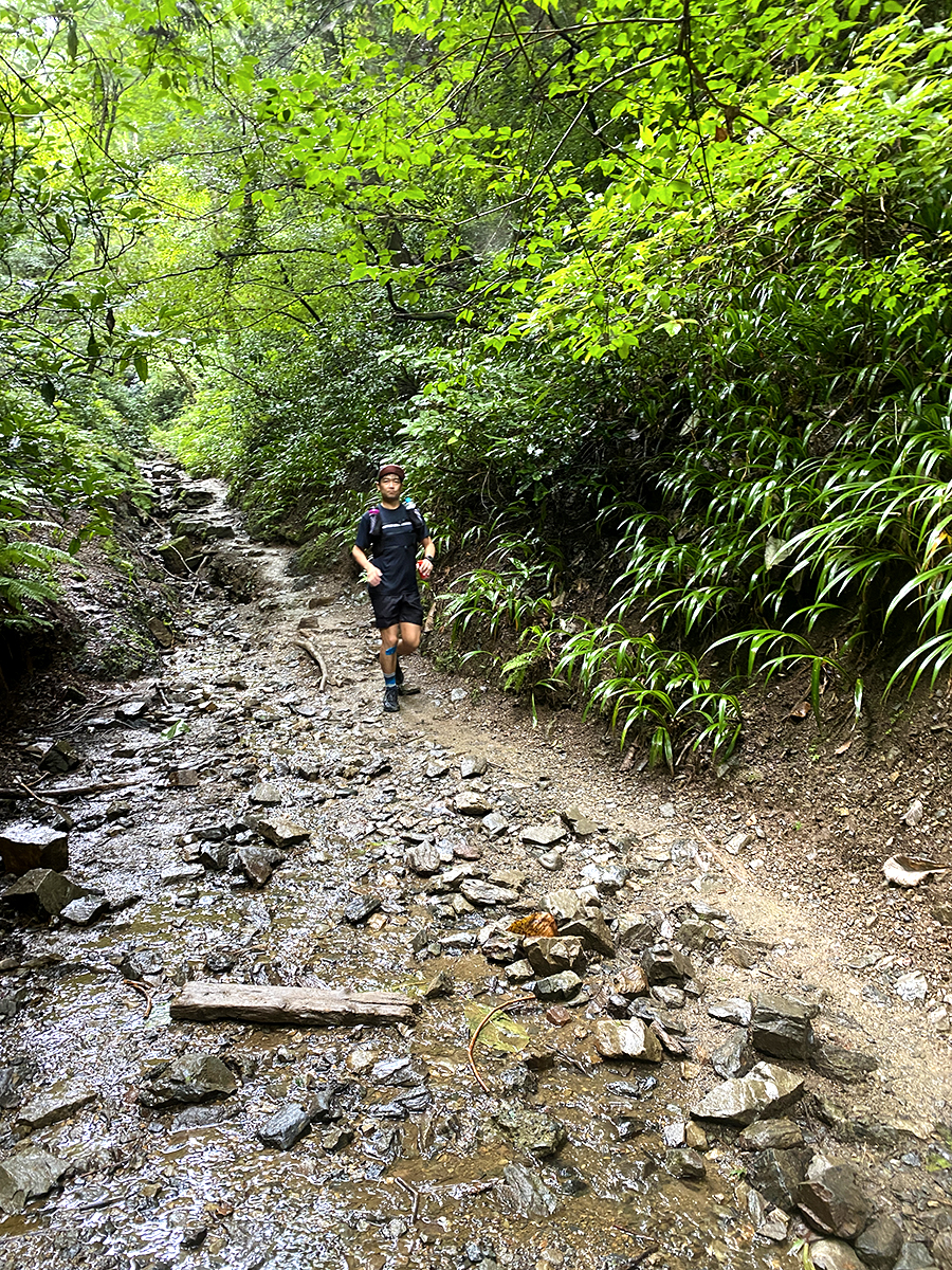 高尾山