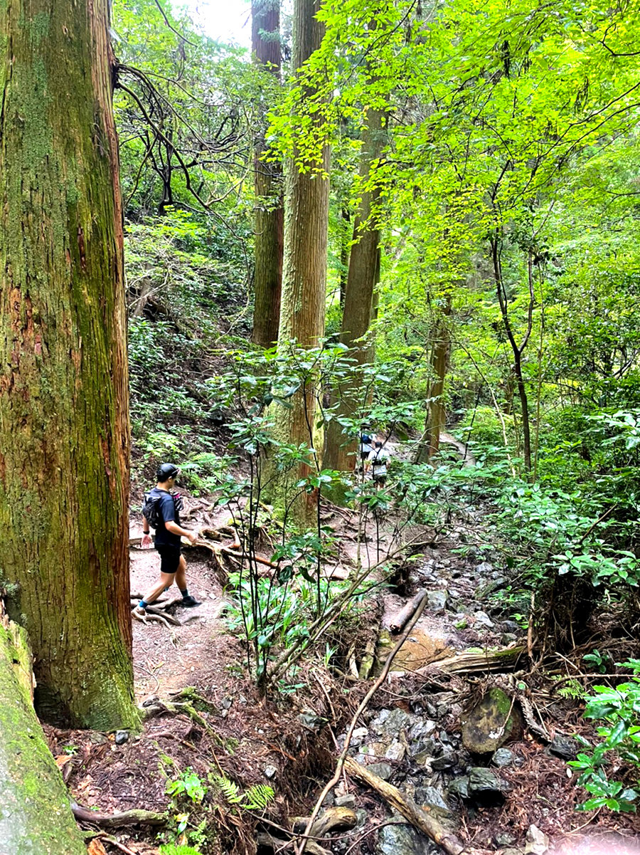 高尾山