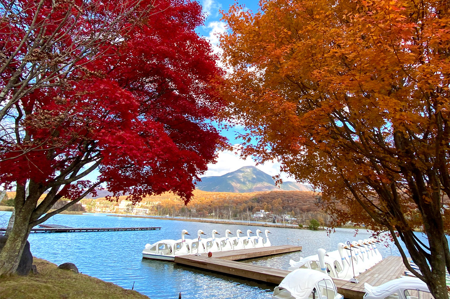 標高1450mの白樺湖で紅葉を見ながらゆっくり２周ラン