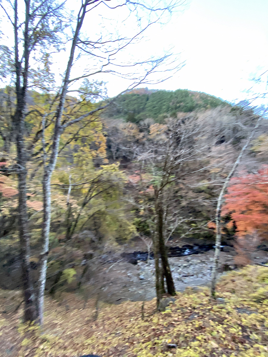 小菅村