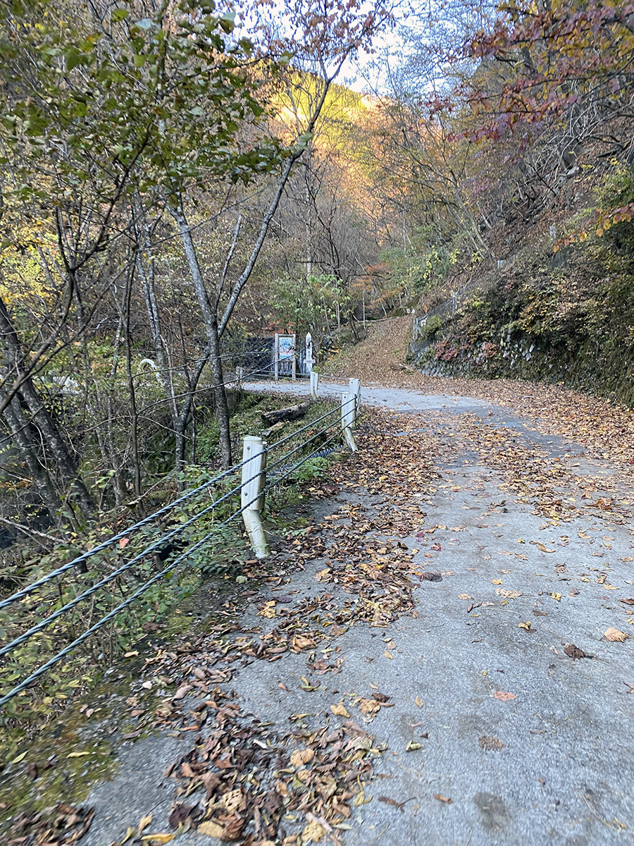 小菅村