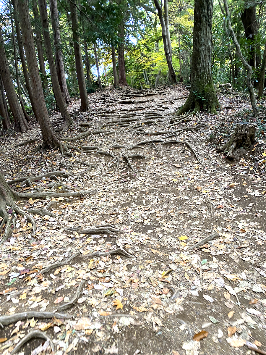 高尾山