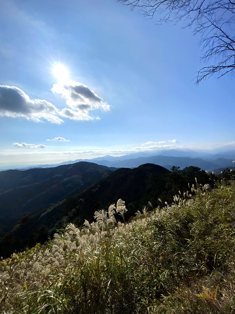 景信山