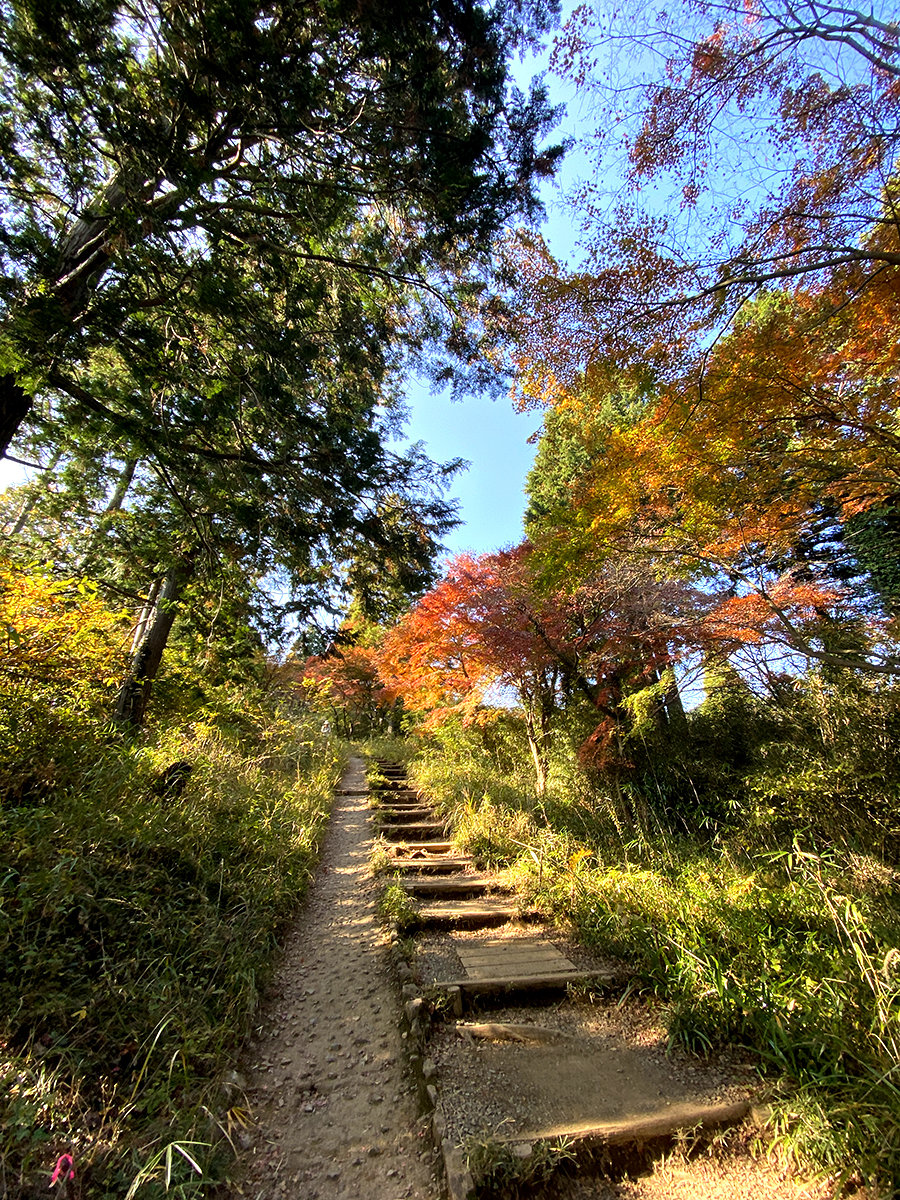 景信山