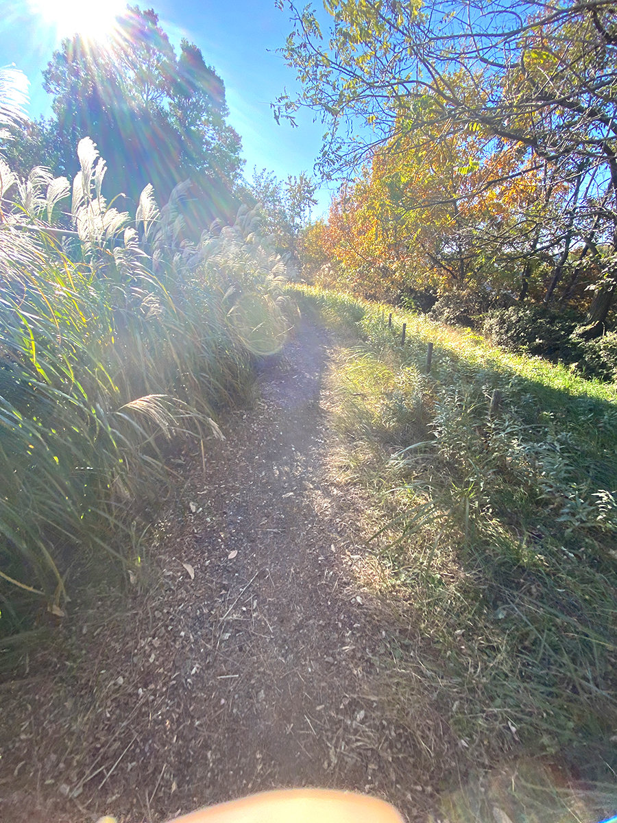 町田