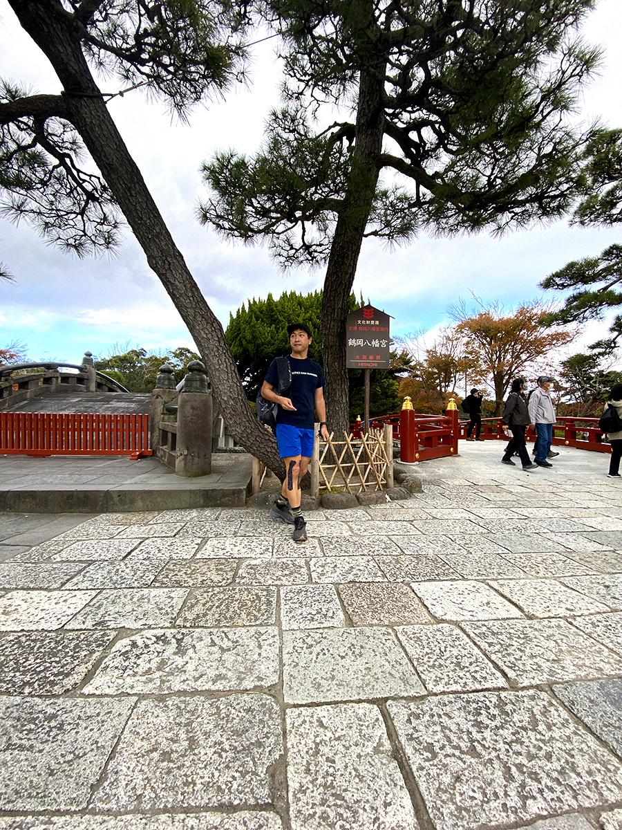 鶴岡八幡宮