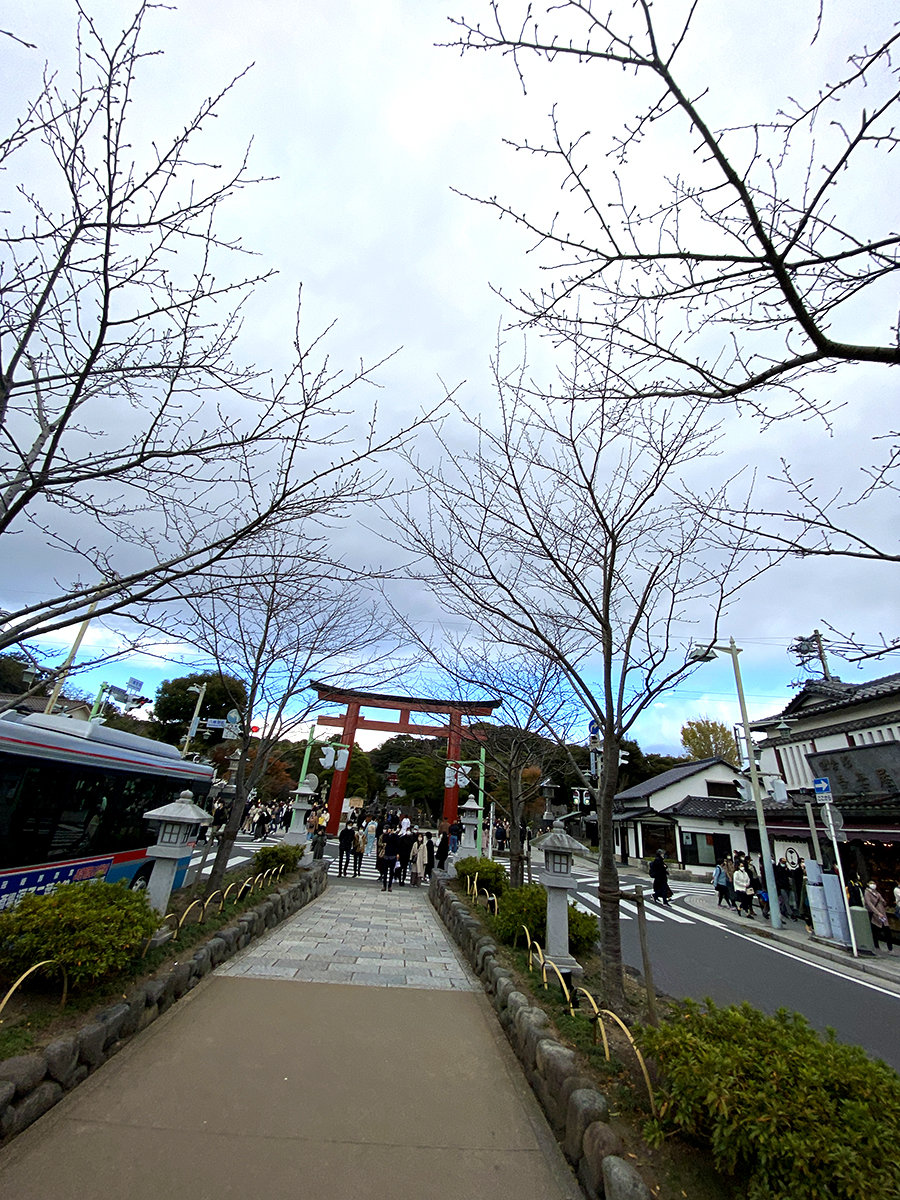 鶴岡八幡宮