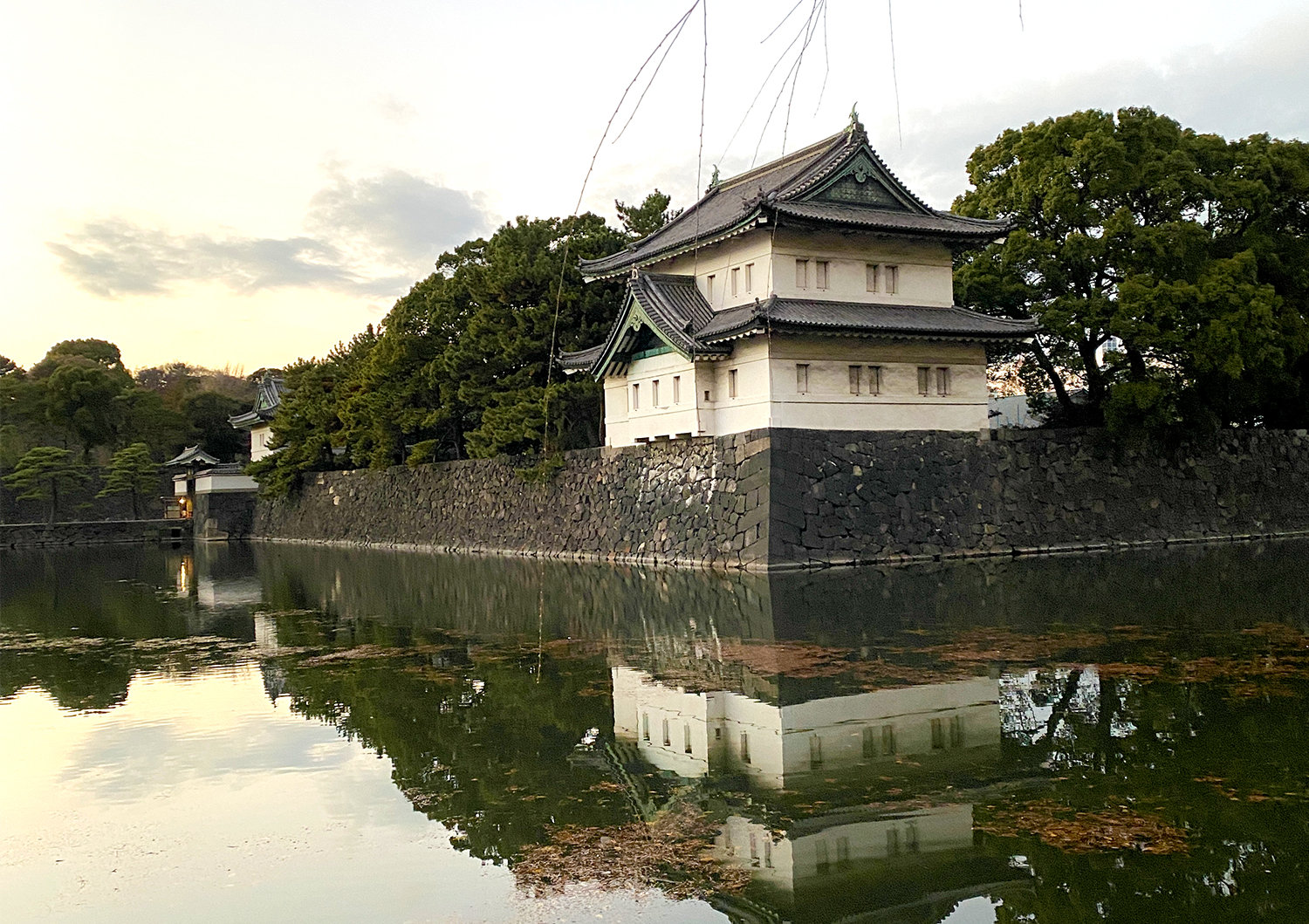 皇居ランからのITJの完走お疲れ様会をしてもらいました