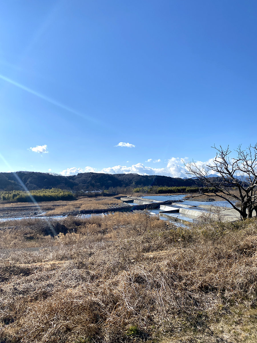 多摩川