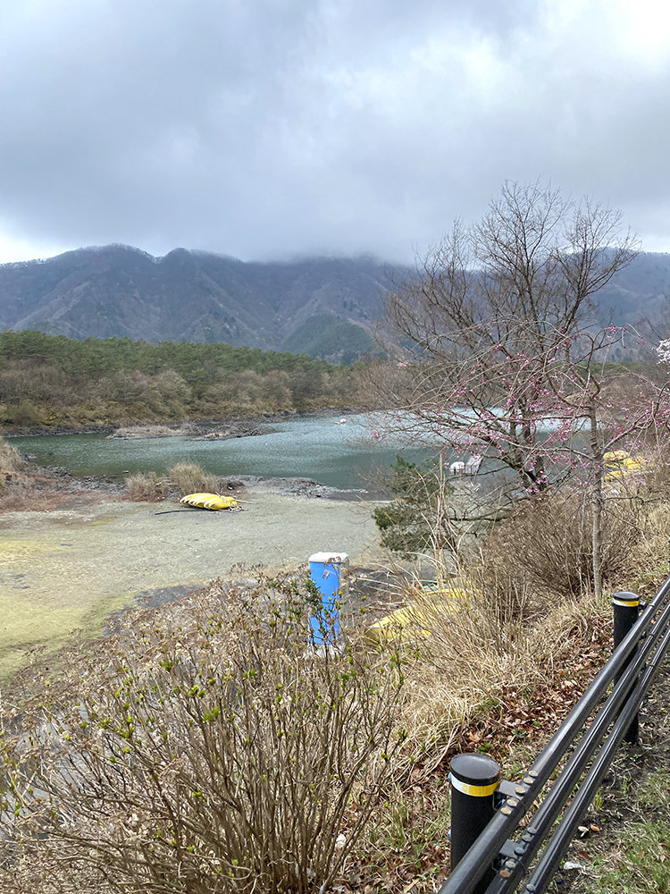 富士五湖ウルトラマラソン