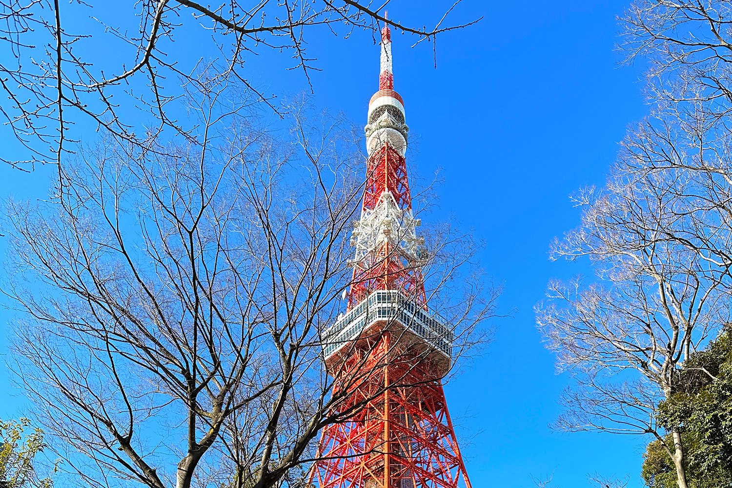 50kロング走で多摩川からサロ門そして皇居ラン