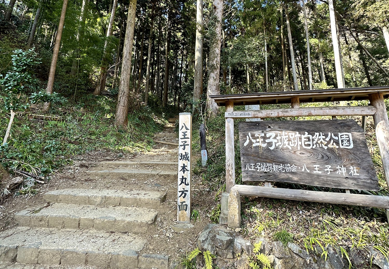 調子いいので、北高尾に山練をしにサクッと来ました