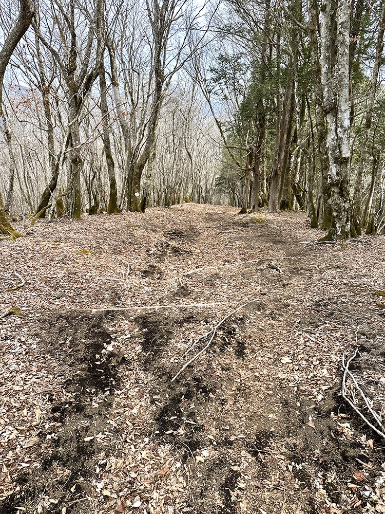 杓子山