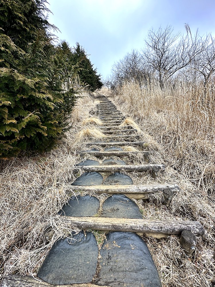 平尾山