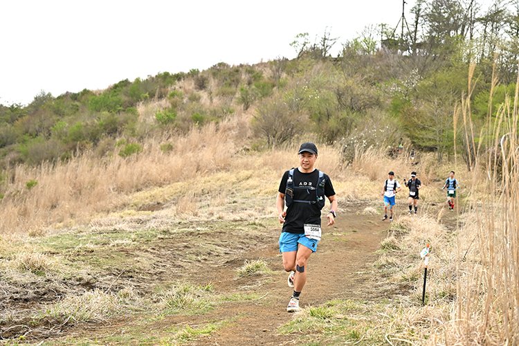 UTMF