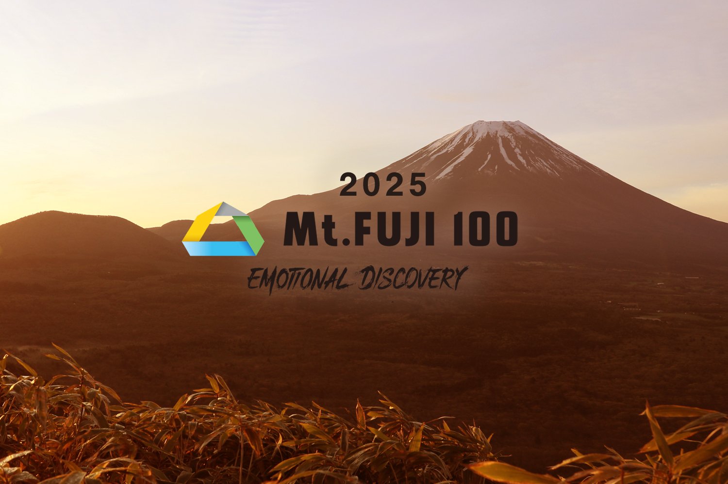 2025 Mt.FIJI100  【レース DNF 編】