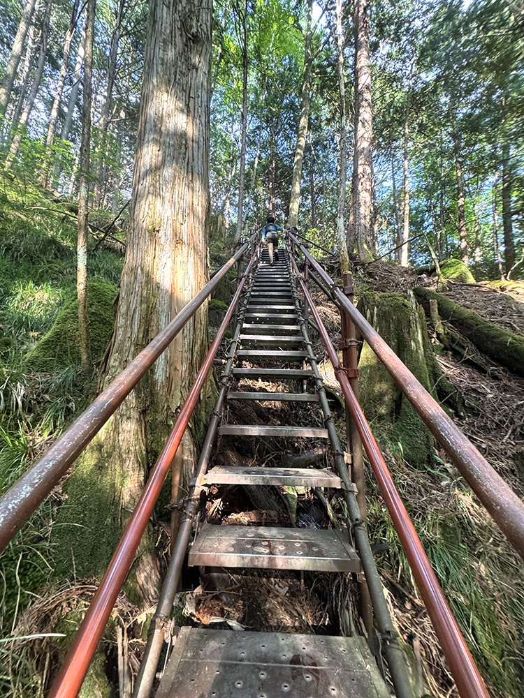 阿寺キャンプ場