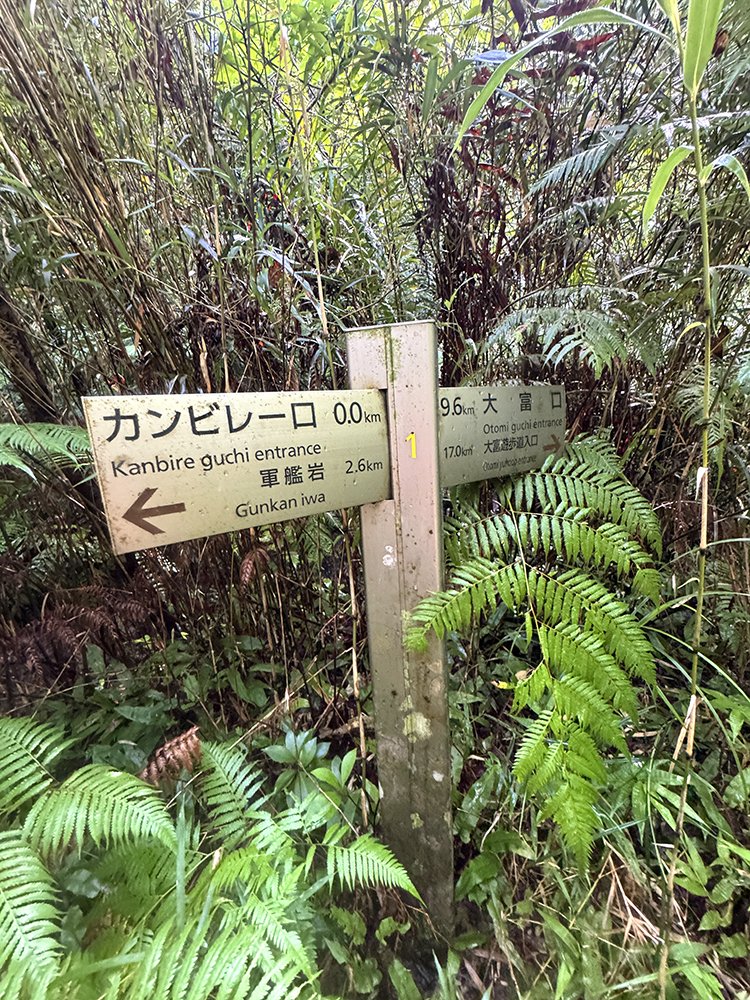 トレランでマヤグスク