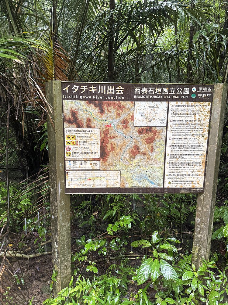 トレランでマヤグスク