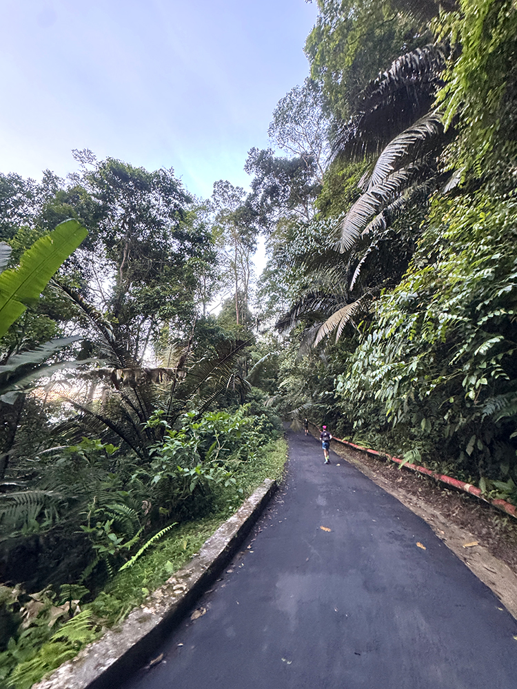  Malaysia Ultra-Trail by UTMB