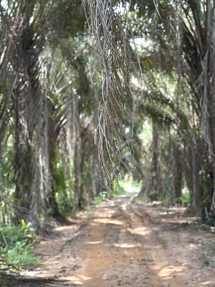  Malaysia Ultra-Trail by UTMB