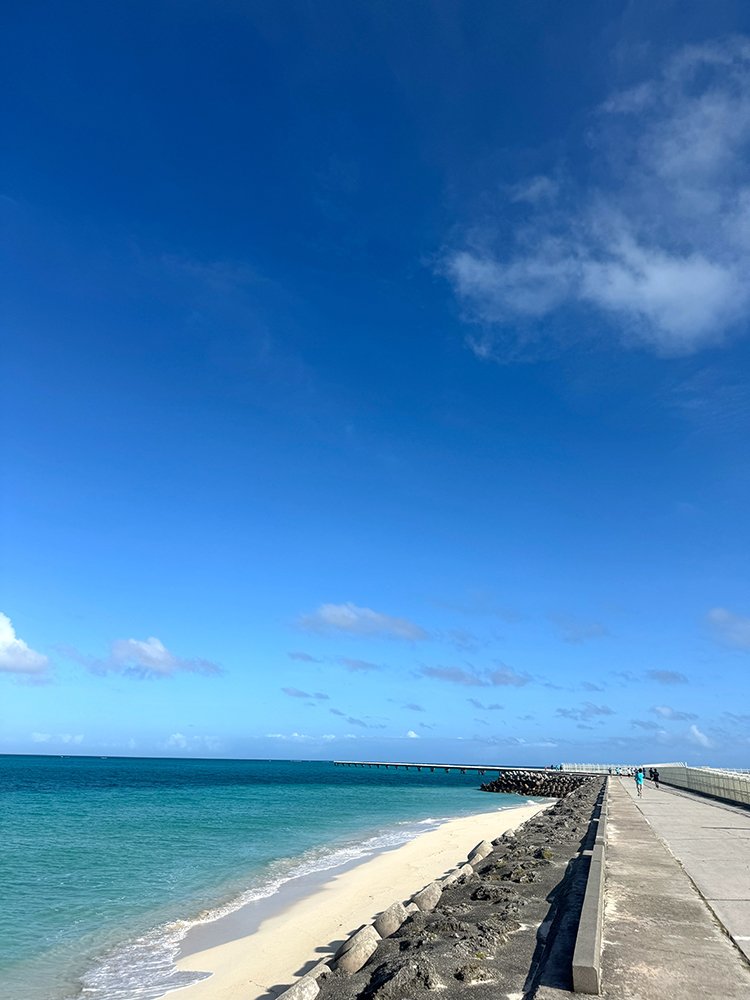 １７ENDハーフマラソン　in 伊良部島