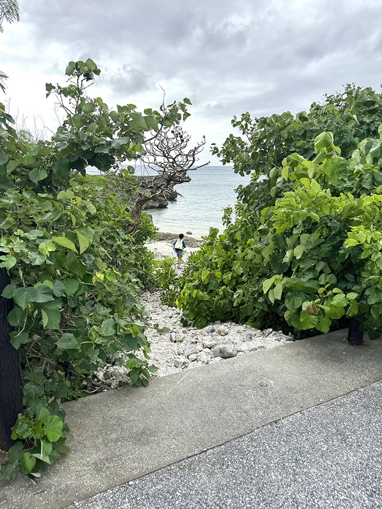 １７ENDハーフマラソン　in 伊良部島