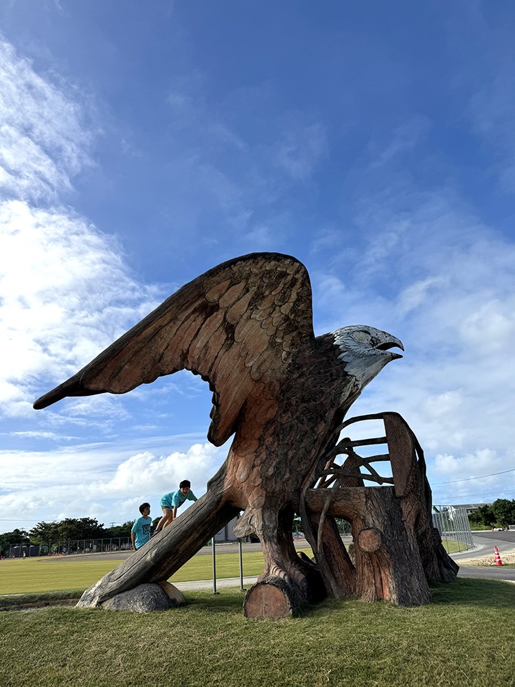 １７ENDハーフマラソン　in 伊良部島