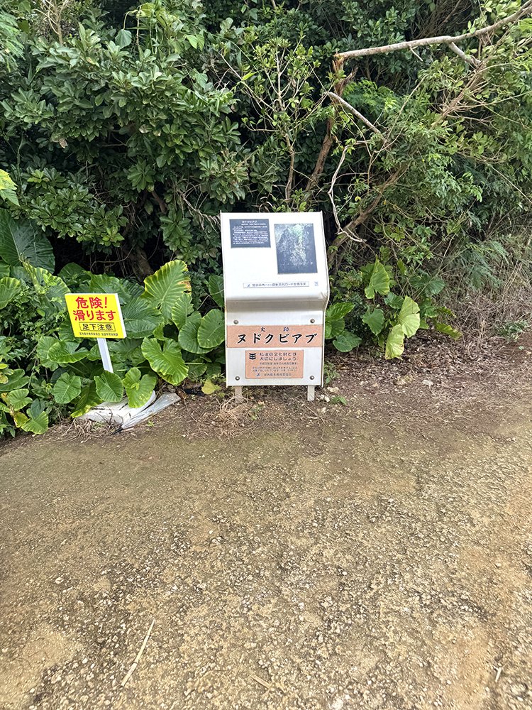 １７ENDハーフマラソン　in 伊良部島