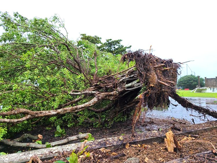 １７ENDハーフマラソン　in 伊良部島